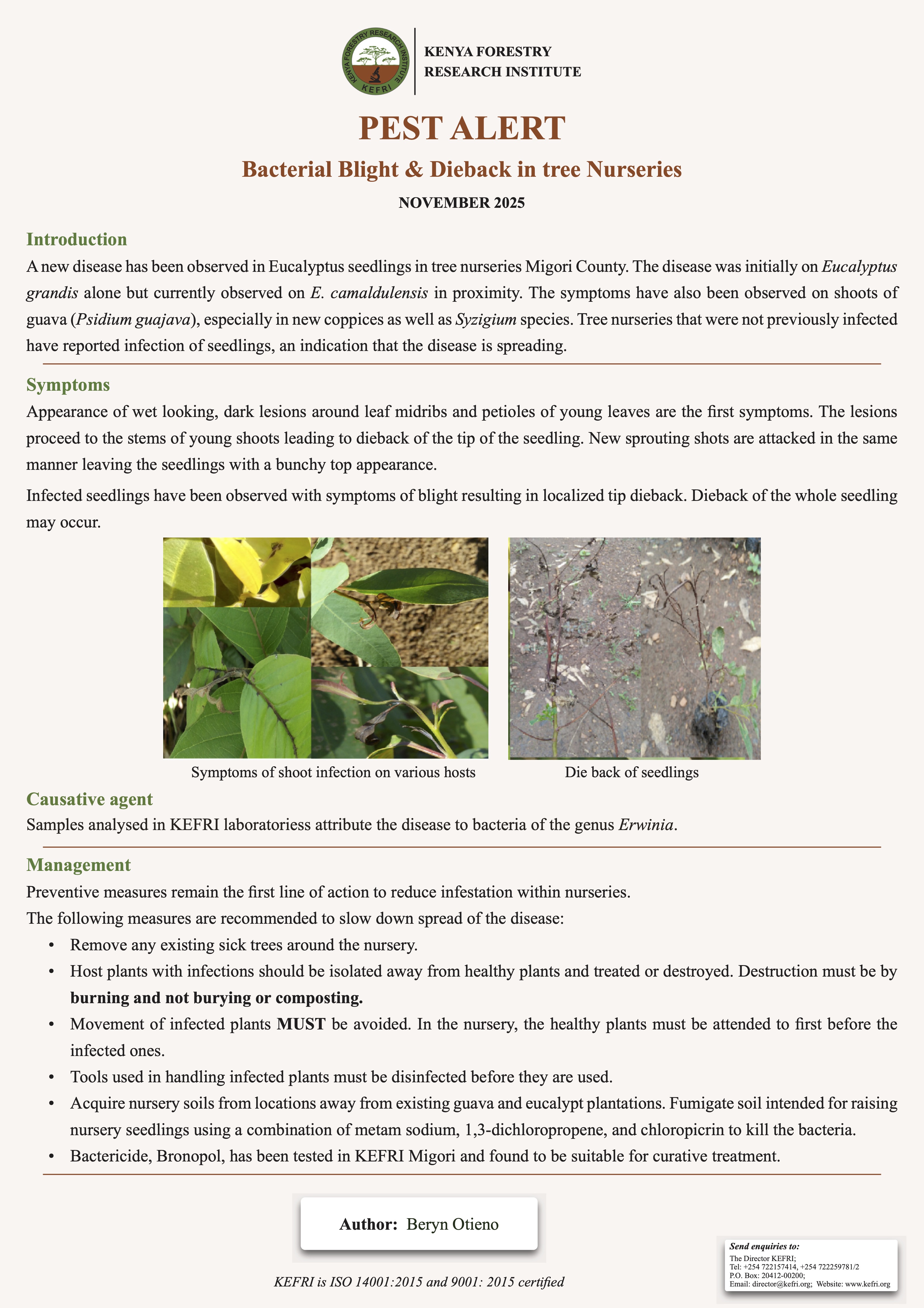 PEST ALERT Bacterial Blight & Dieback in Tree Nurseries
